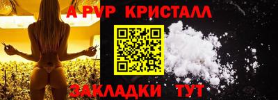 твердый Кингисепп