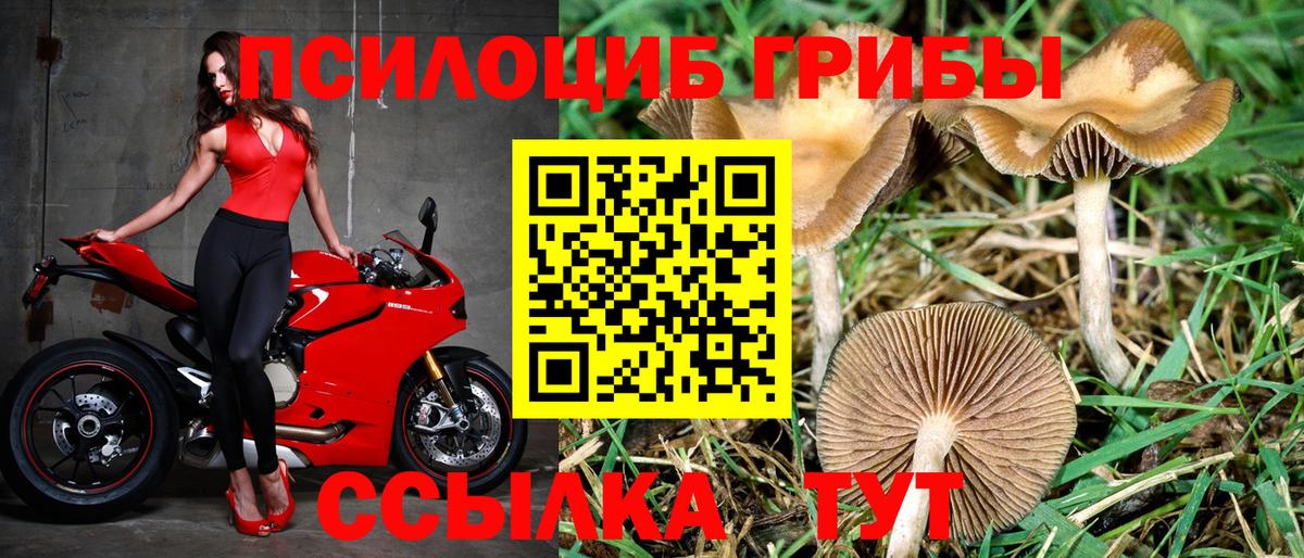 Псилоцибиновые грибы Magic Shrooms  Вход с VPN  Балашов 